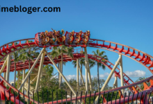 hollywood rockit coaster